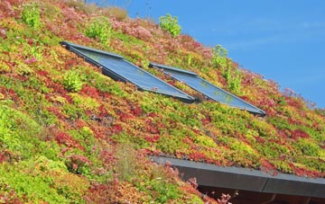 Pott Row living roof systems